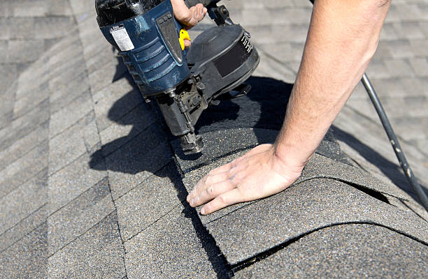 Best Roof Moss and Algae Removal  in Braidwood, IL